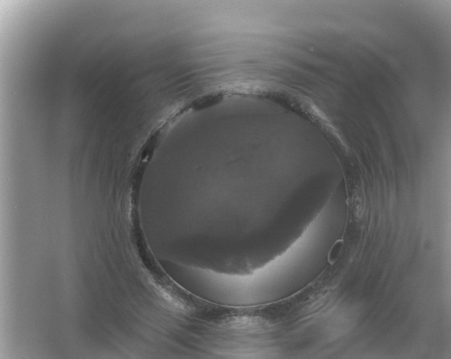 X0000066970637200604072031