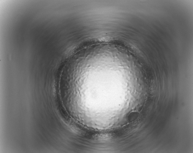 X0000066970639200604072031