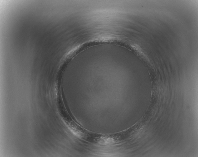 X0000066970640200604072031