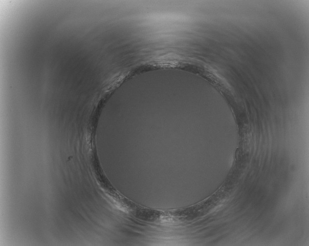 X0000066970641200604072031