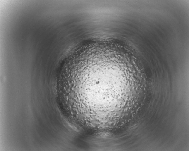 X0000066970642200604072031