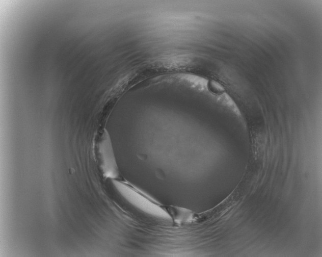 X0000066970644200604072031