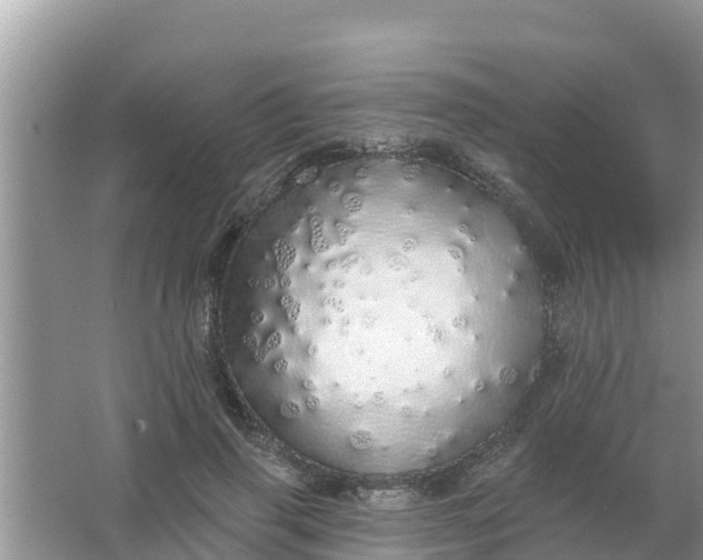 X0000066970645200604072031