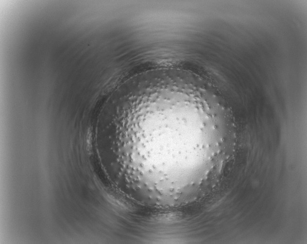 X0000066970646200604072031