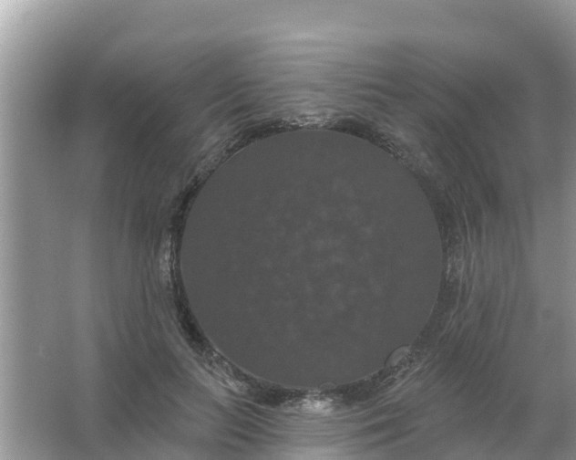 X0000066970647200604072031