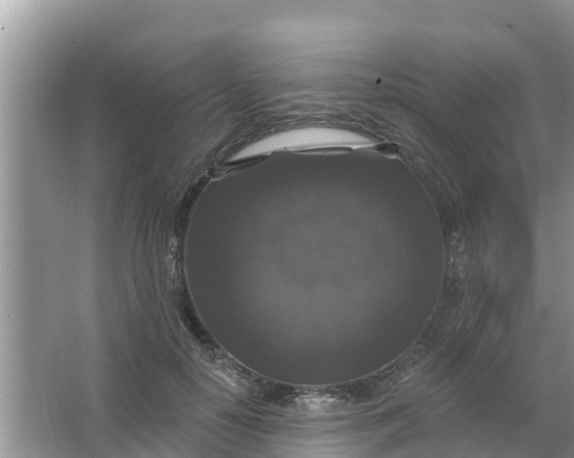 X0000066970650200604072031