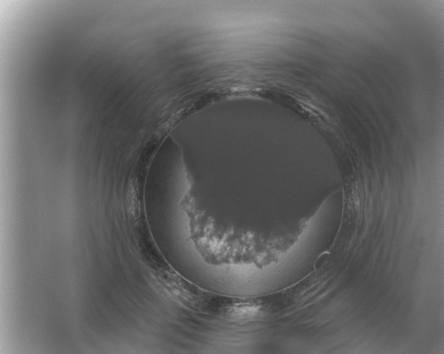 X0000066970651200604072031