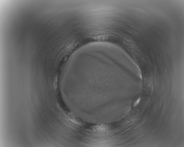 X0000066970652200604072031