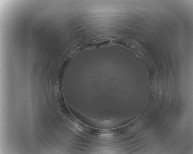 X0000066970653200604072031