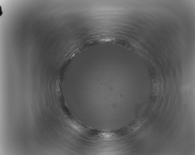 X0000066970654200604072031