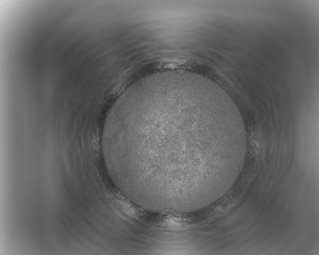 X0000066970657200604072031