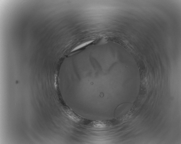 X0000066970658200604072032