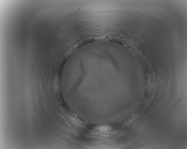 X0000066970659200604072032