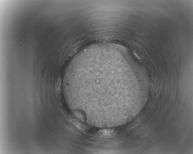 X0000066970660200604072032