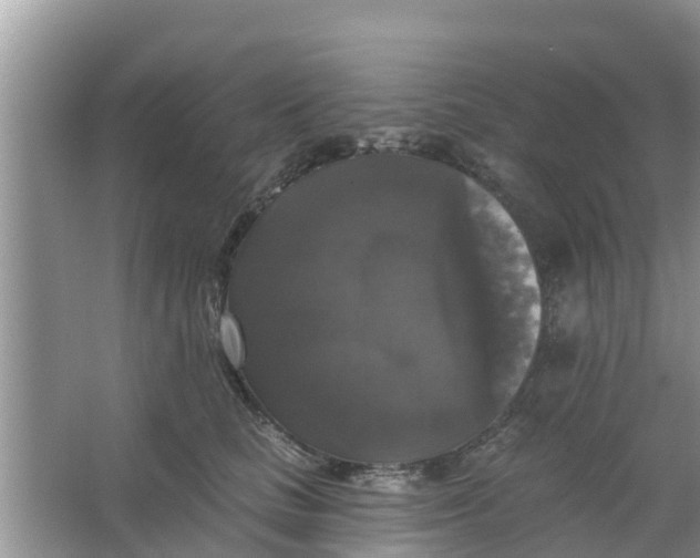 X0000066970661200604072032