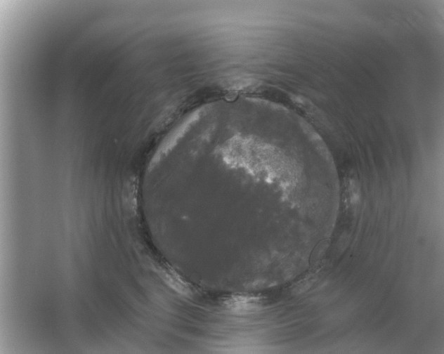 X0000066970664200604072032