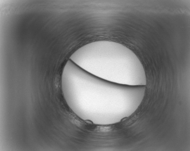 X0000066970665200604072032