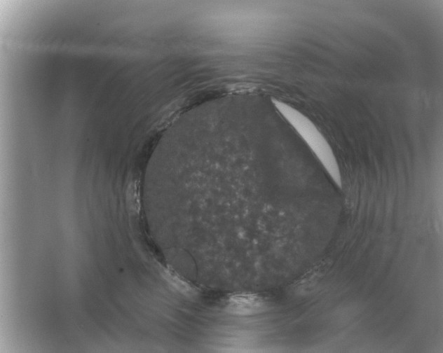 X0000066970666200604072032