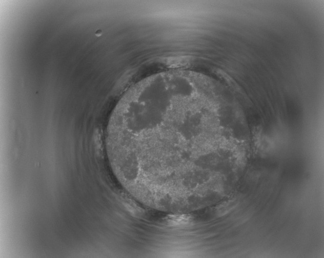 X0000066970667200604072032