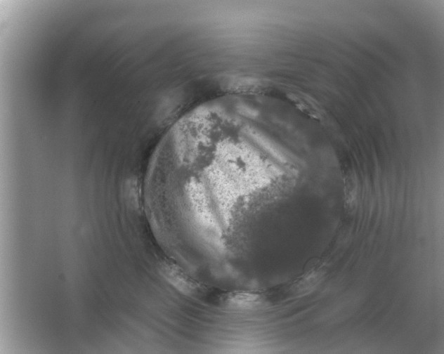 X0000066970669200604072032