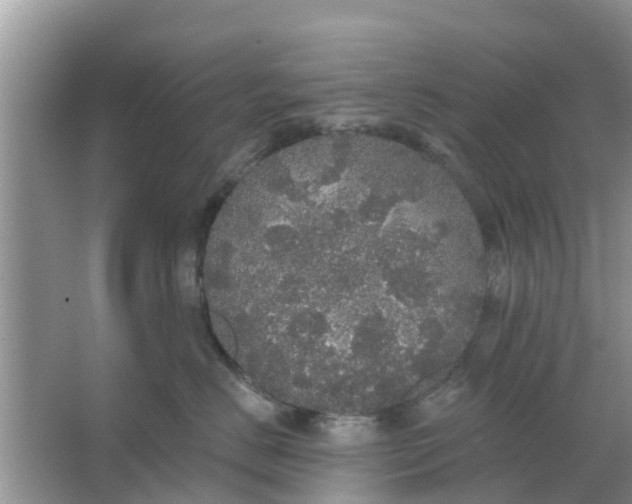 X0000066970670200604072032