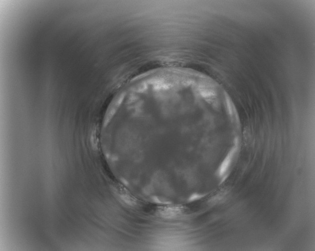 X0000066970671200604072032