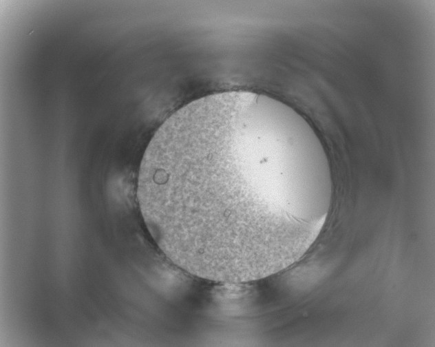 X0000066970672200604072032