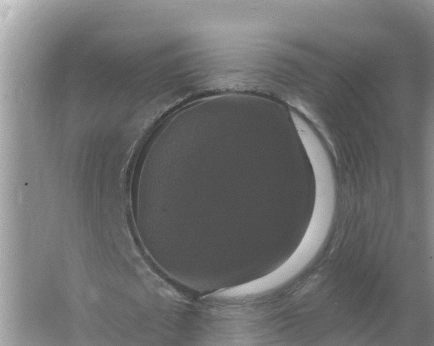 X0000066970673200604072031