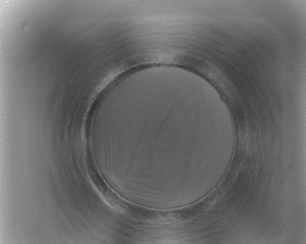 X0000066970674200604072031