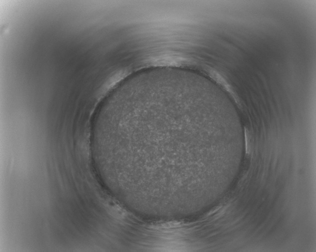 X0000066970675200604072031