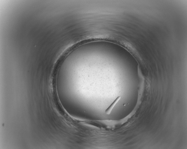 X0000066970676200604072031