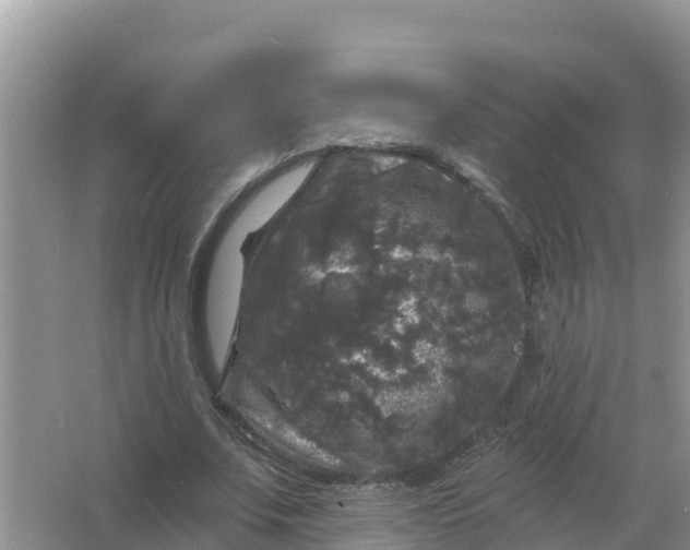 X0000066970679200604072031