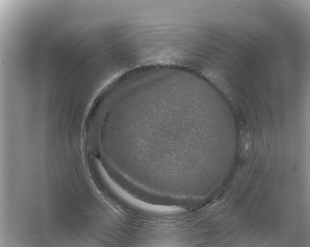 X0000066970680200604072031