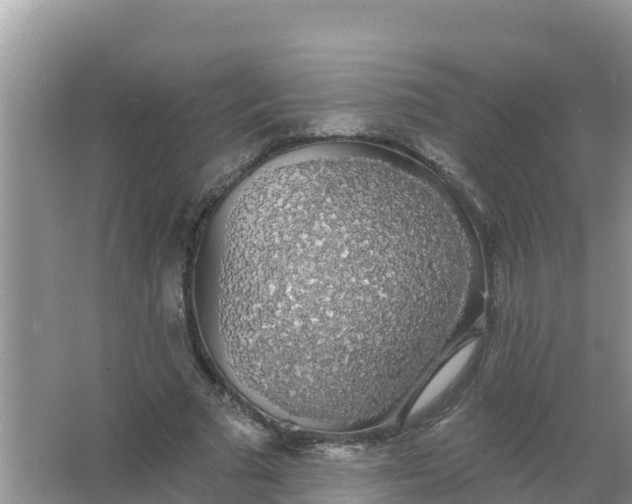 X0000066970681200604072031