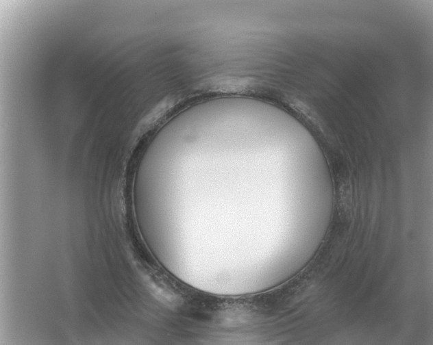 X0000066970682200604072031