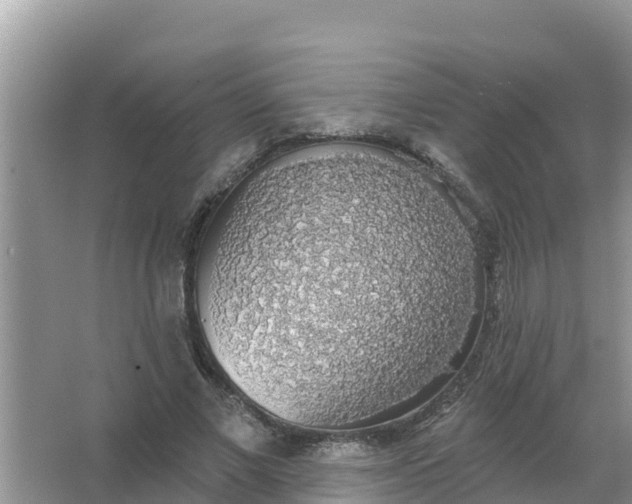 X0000066970685200604072031