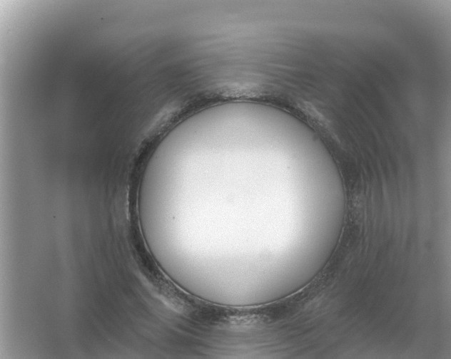 X0000066970686200604072031