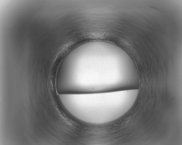 X0000066970688200604072031