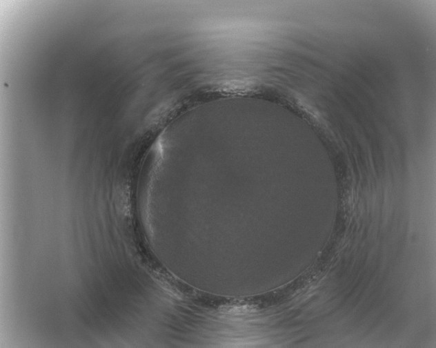 X0000066970689200604072031