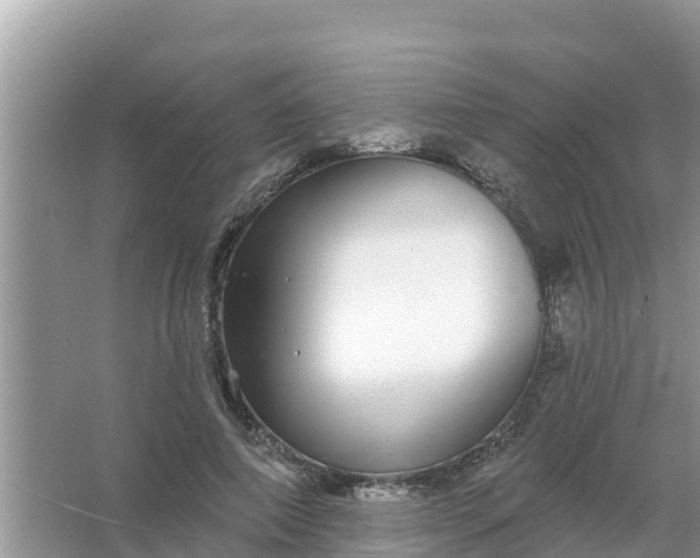 X0000066970690200604072031