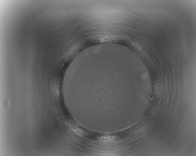 X0000066970691200604072031