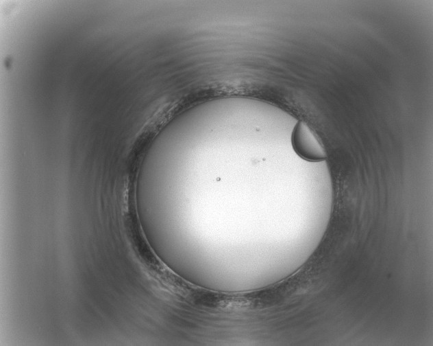 X0000066970694200604072031