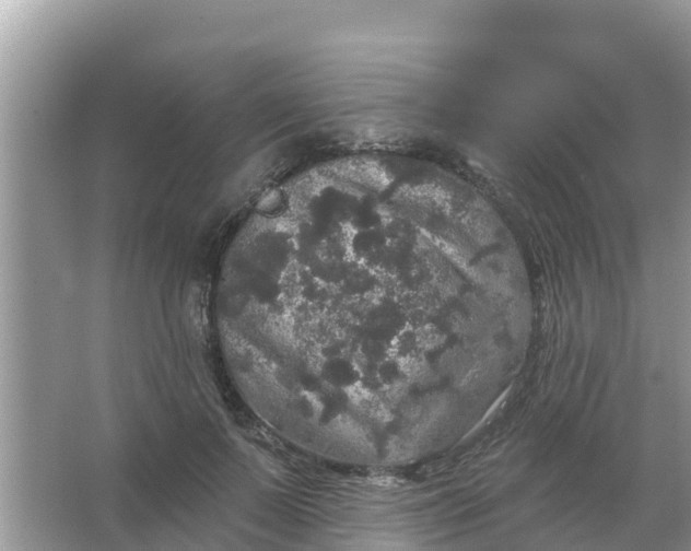 X0000066970695200604072031