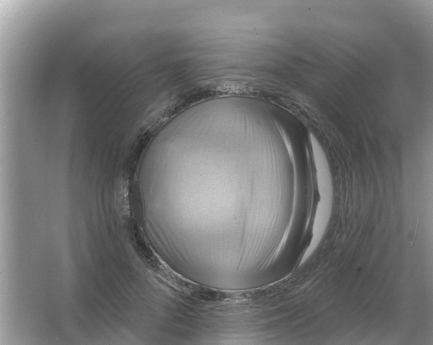 X0000066970696200604072031