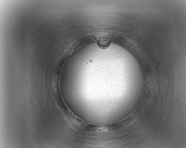 X0000066970698200604072031