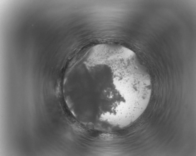 X0000066970699200604072030