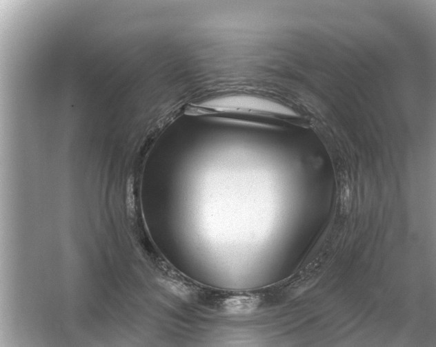 X0000066970700200604072030