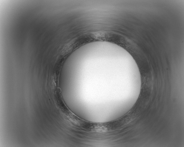 X0000066970702200604072030