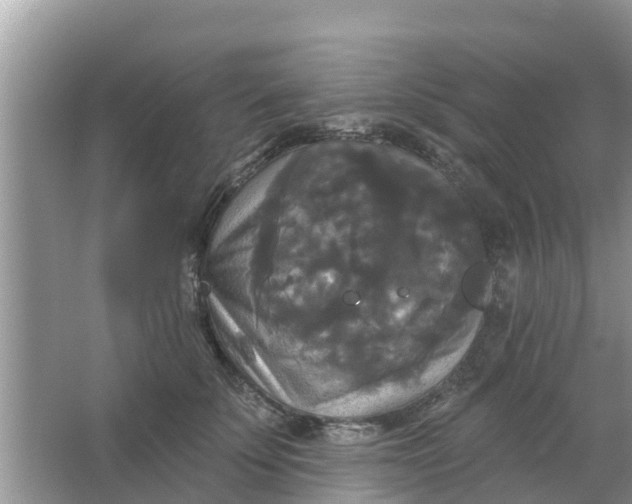 X0000066970707200604072030