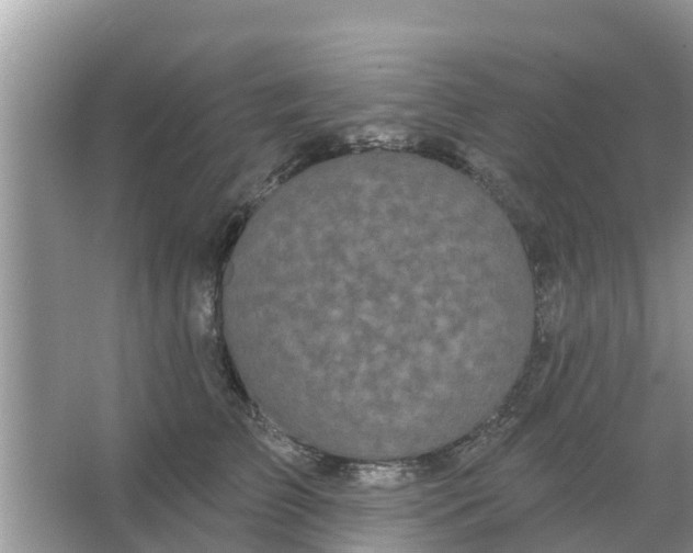 X0000066970709200604072030